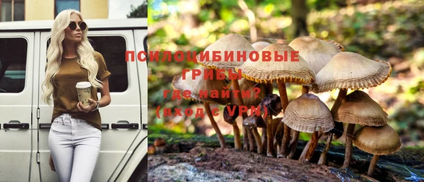 МДПВ Балахна